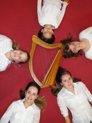 HARPMUZIEK BIJ DE KOFFIE