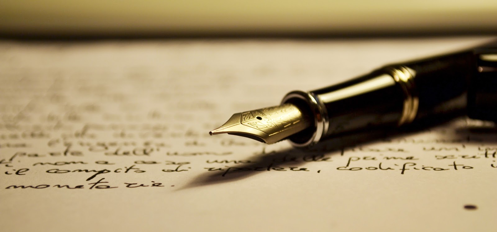 CURSUS LEVENSVERHALEN SCHRIJVEN BIJ DE VU PAPENDRECHT